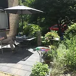 De Ijsvogel *