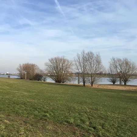 De Ijsvogel *