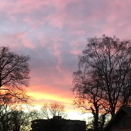 De Ijsvogel * Doorwerth