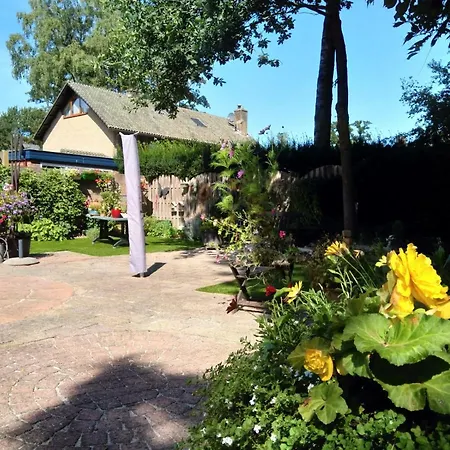 De Ijsvogel * Doorwerth