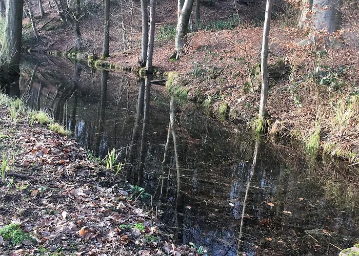 De Ijsvogel * Doorwerth