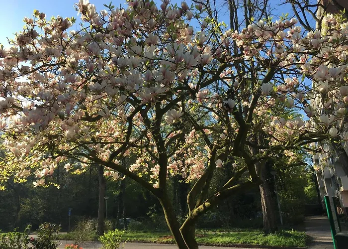 De Ijsvogel Doorwerth