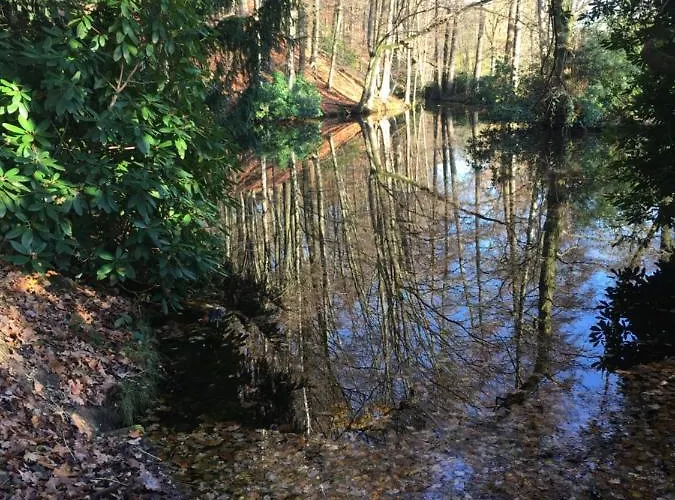 De Ijsvogel Bed & Breakfast Doorwerth