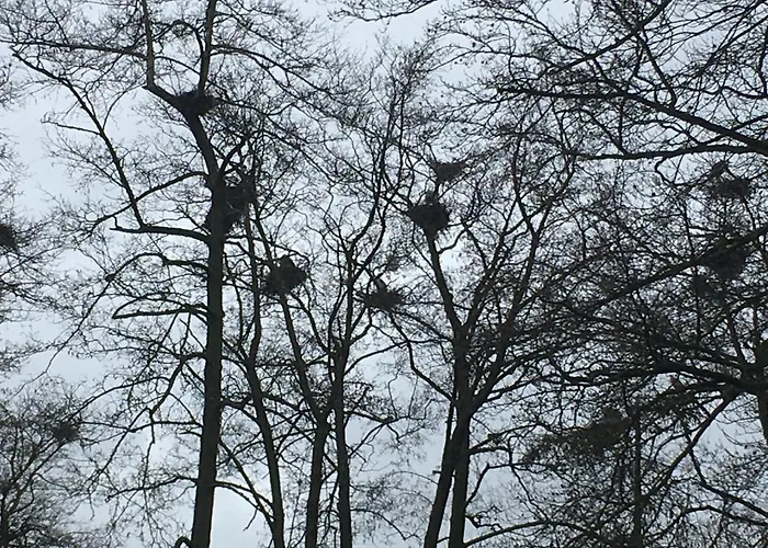 De Ijsvogel Bed & Breakfast