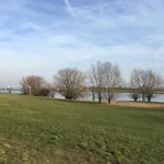 De Ijsvogel *
