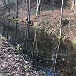 De Ijsvogel * Doorwerth