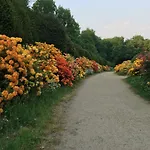 De Ijsvogel Doorwerth