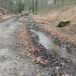 De Ijsvogel *