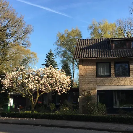 De Ijsvogel *