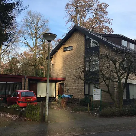 De Ijsvogel