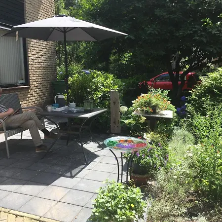 De Ijsvogel *