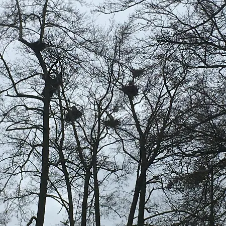 De Ijsvogel Frühstückspension