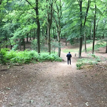 ベッド・アンド・ブレックファスト De Ijsvogel