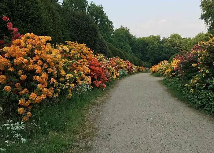 De Ijsvogel Doorwerth