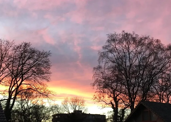 De Ijsvogel * Doorwerth