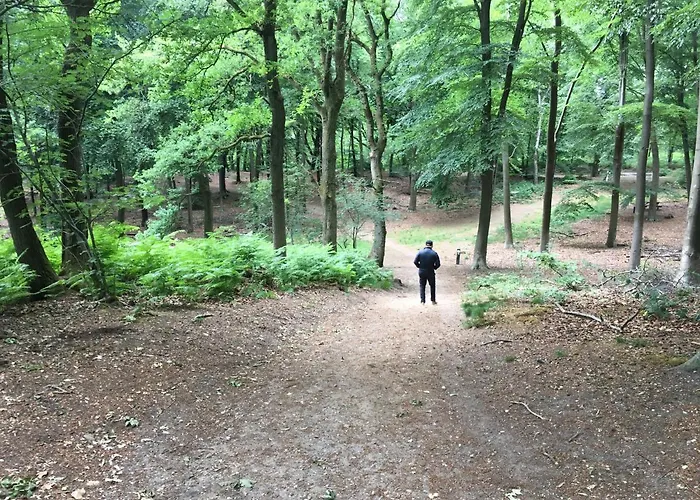 ベッド・アンド・ブレックファスト De Ijsvogel