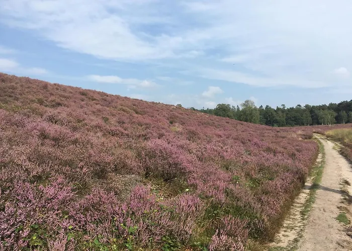 ベッド・アンド・ブレックファスト De Ijsvogel *